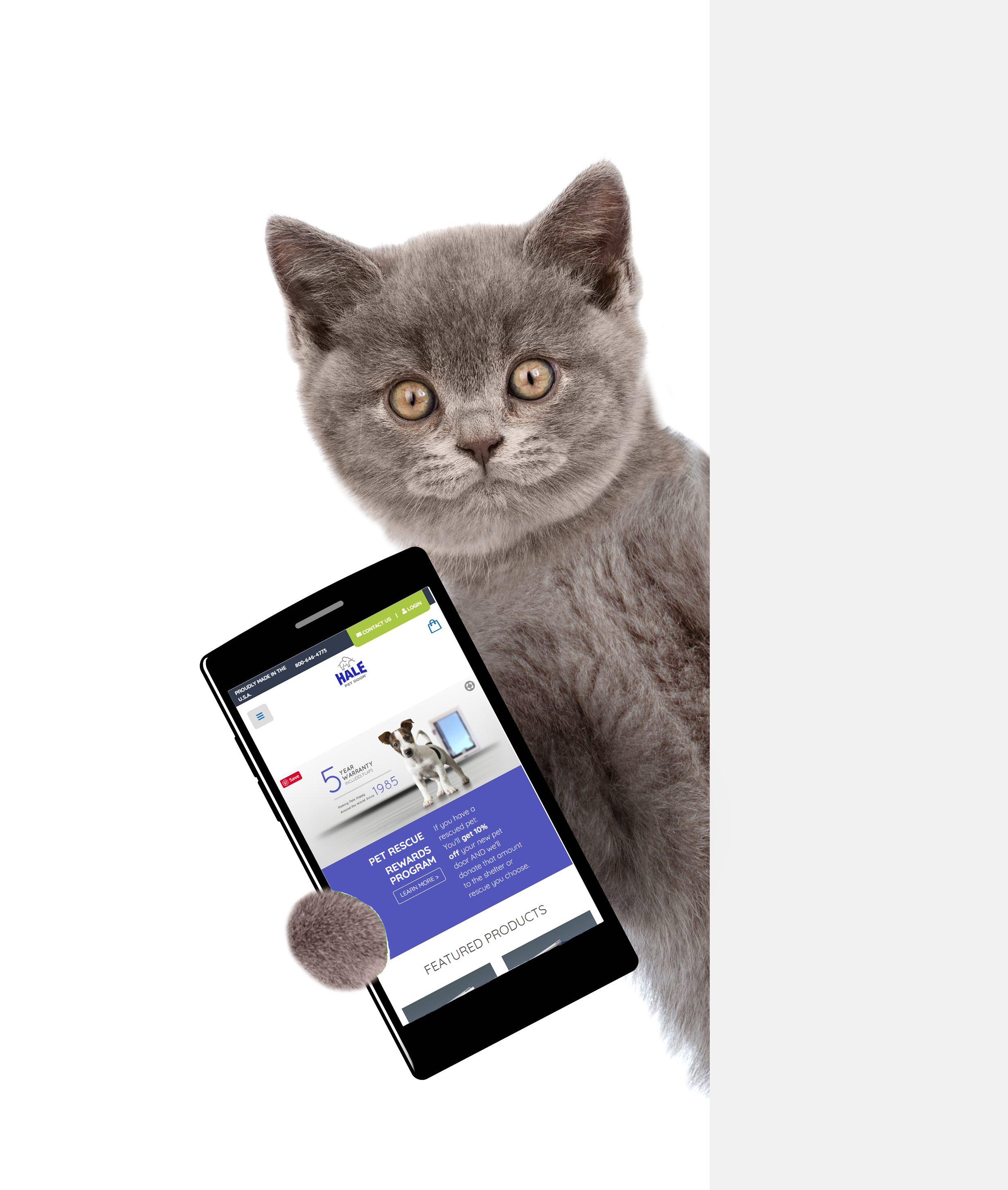 new website on phone